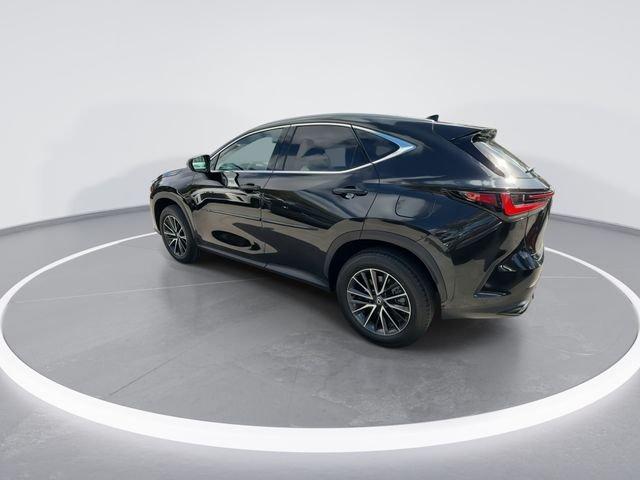 Lexus Nx 250 Premium - Thumbnail 6