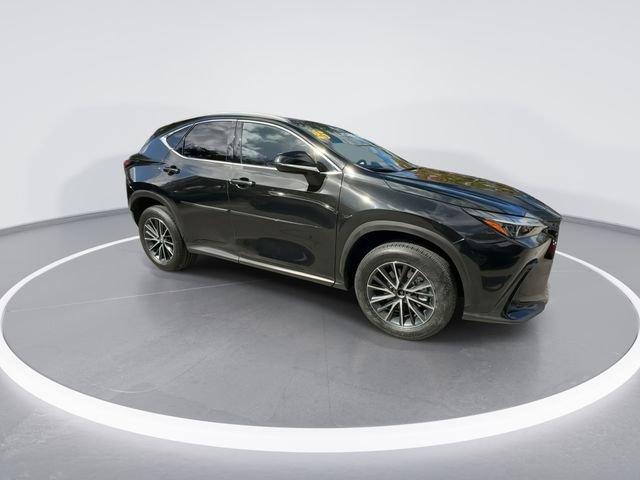 Lexus Nx 250 Premium - Thumbnail 10