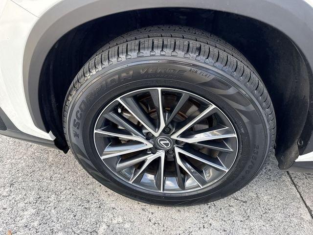 Lexus Nx 350 Premium - Thumbnail 11