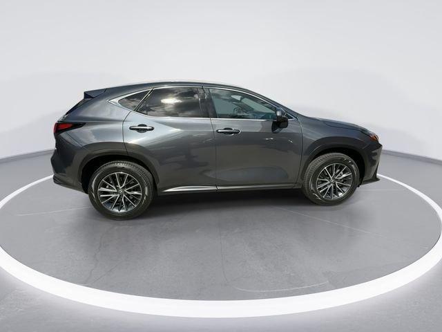 Lexus Nx 250 Premium - Thumbnail 10