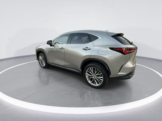 Lexus Nx 350 Luxury - Thumbnail 6