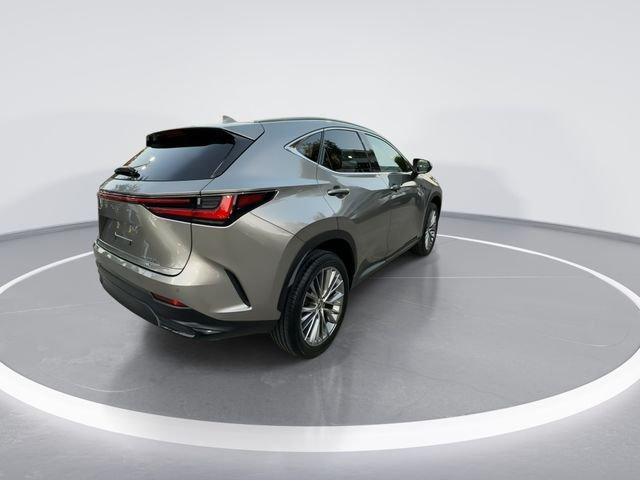 Lexus Nx 350 Luxury - Thumbnail 8