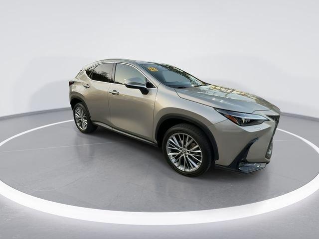 Lexus Nx 350 Luxury - Thumbnail 10