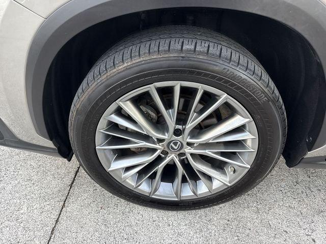 Lexus Nx 350 Luxury - Thumbnail 11