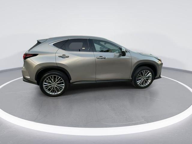 Lexus Nx 350 Luxury - Thumbnail 9