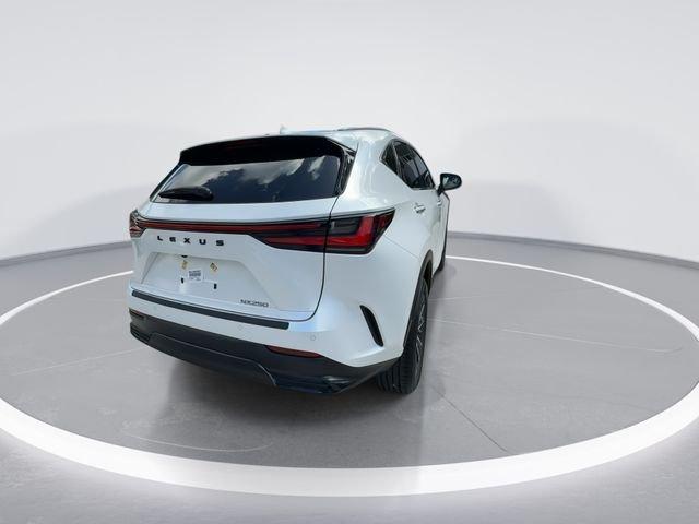 Lexus Nx 250 Premium - Thumbnail 8