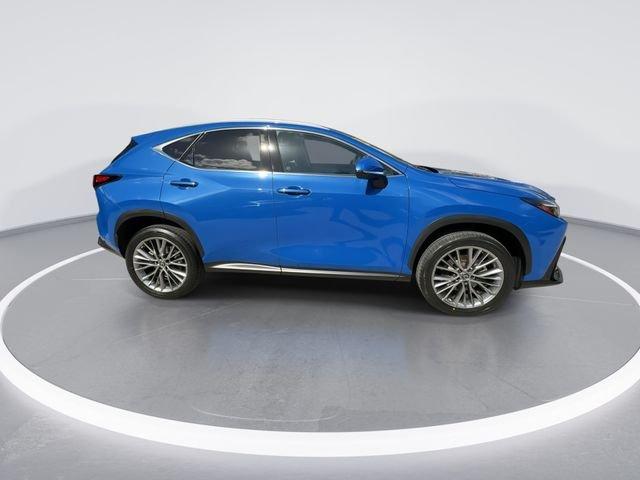 Lexus Nx 350H Luxury - Thumbnail 10