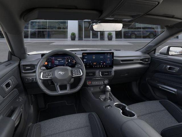 Ford Mustang Ecoboost® Fastback - Thumbnail 10