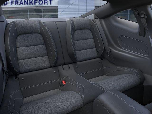 Ford Mustang Ecoboost® Fastback - Thumbnail 12