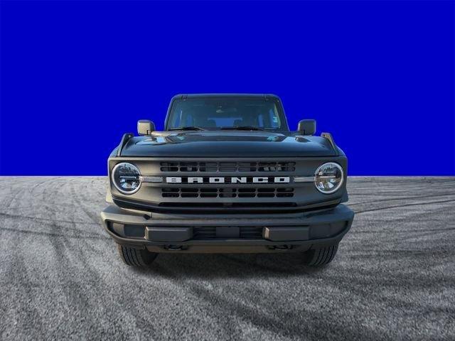Ford Bronco Base - Thumbnail 11