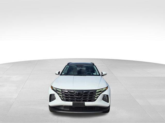 Hyundai Tucson Hybrid Limited Awd - Thumbnail 4