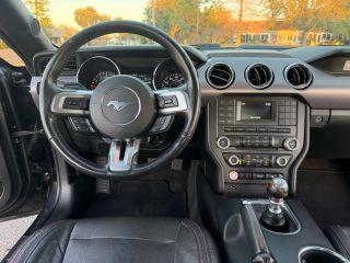 Ford Mustang - Thumbnail 15