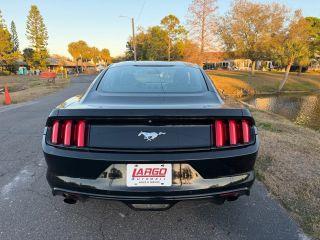 Ford Mustang - Thumbnail 14