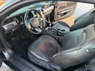 Ford Mustang - Thumbnail 19