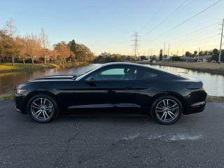 Ford Mustang - Thumbnail 10