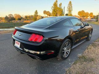 Ford Mustang - Thumbnail 12
