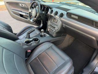 Ford Mustang - Thumbnail 20