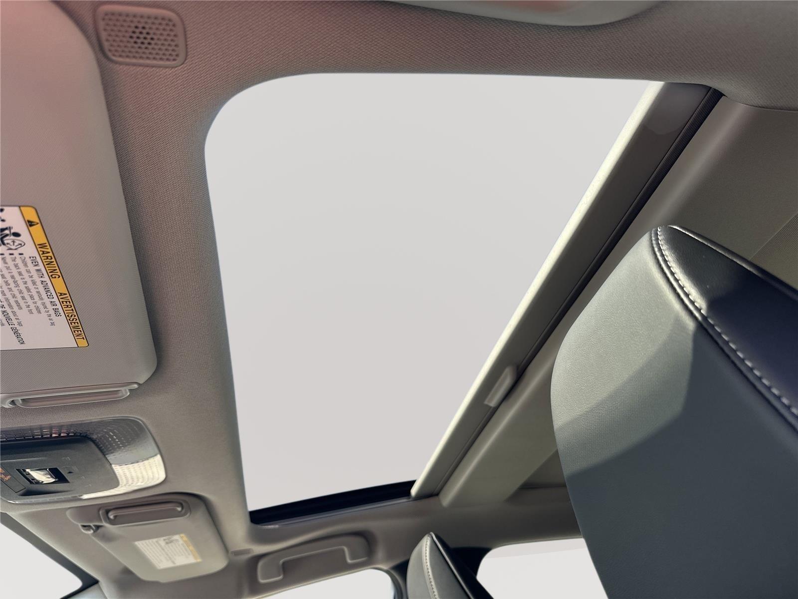 Toyota Prius Limited - Thumbnail 10