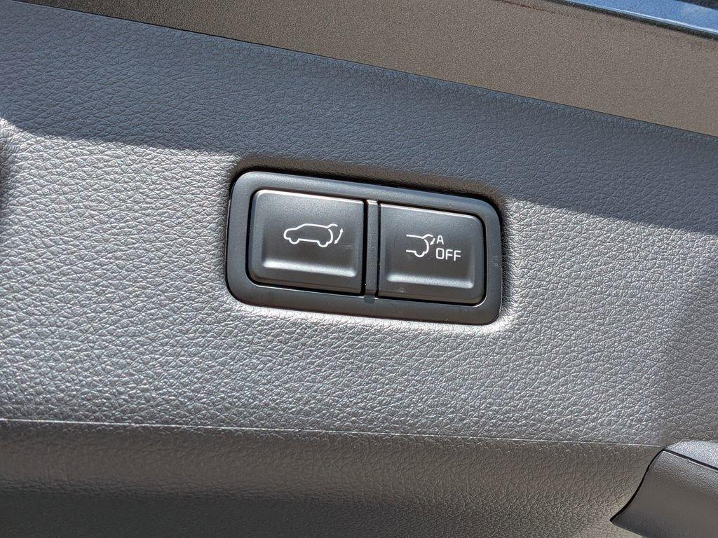 Kia Carnival Mpv Hybrid Ex - Thumbnail 16