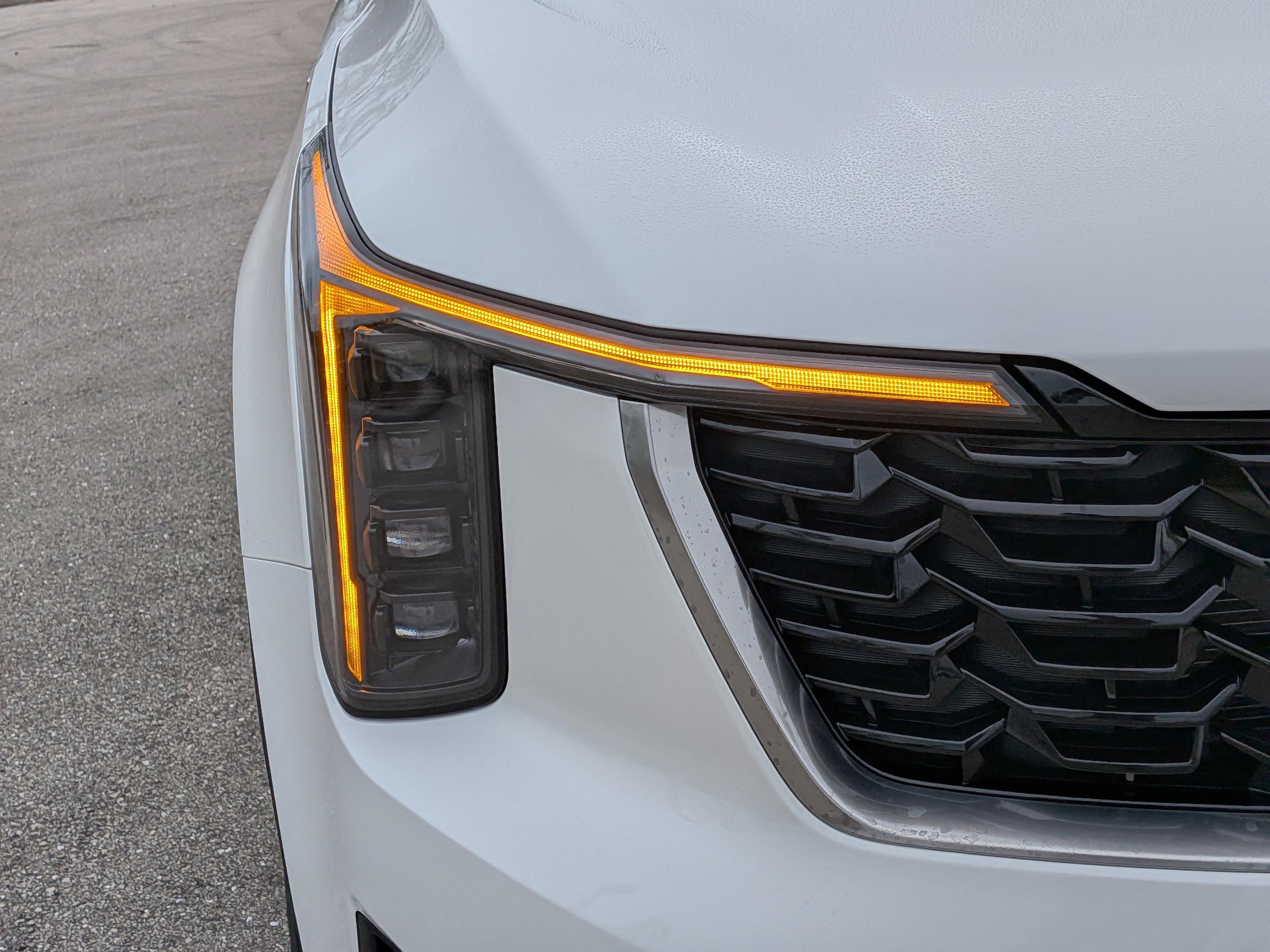 Kia Sorento Hybrid Ex - Thumbnail 11