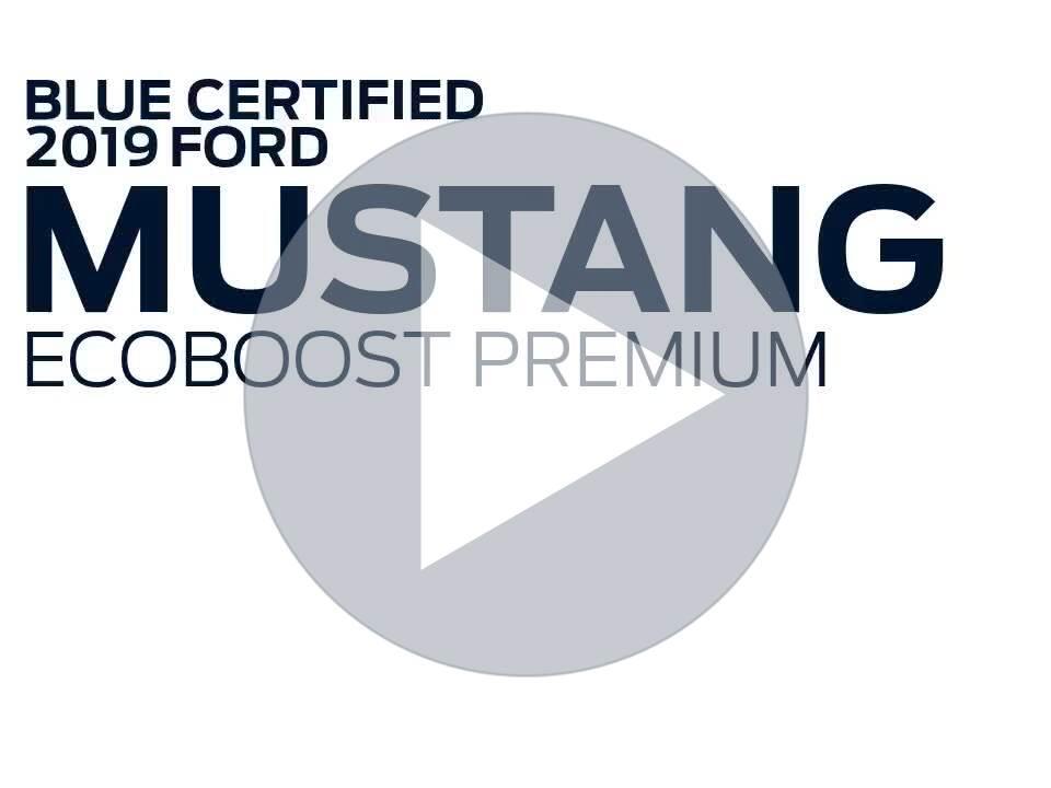 Ford Mustang Ecoboost Premium - Thumbnail 2