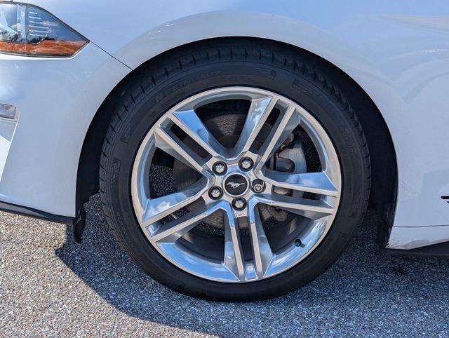 Ford Mustang Ecoboost Premium - Thumbnail 6