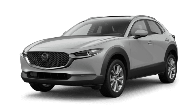 Mazda Cx-30Go In Style - Thumbnail 5