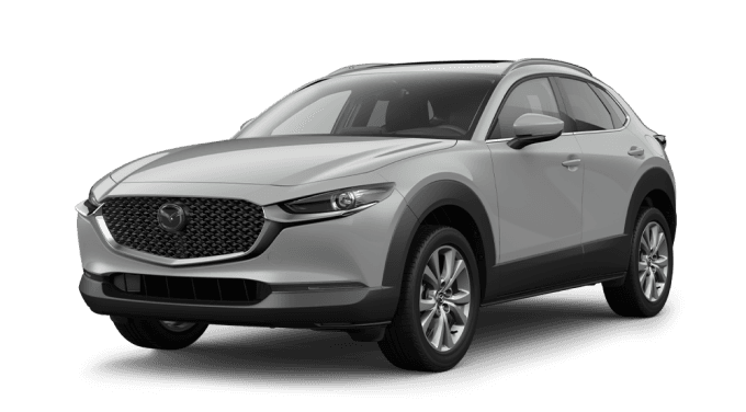 Mazda Cx-30Go In Style - Thumbnail 8