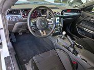 Ford Mustang Mach 1 - Thumbnail 2