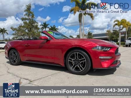 Ford Unknown - Thumbnail 3