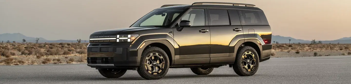 Hyundai Fe - Thumbnail 5