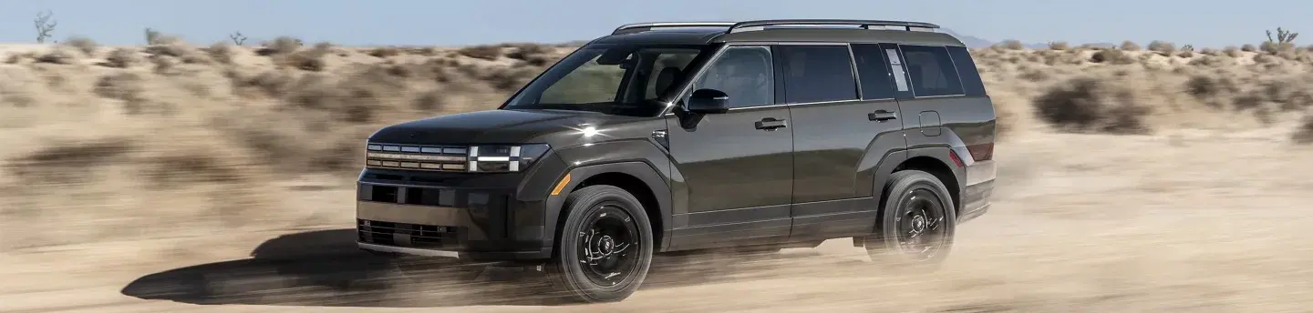 Hyundai Fe - Thumbnail 3