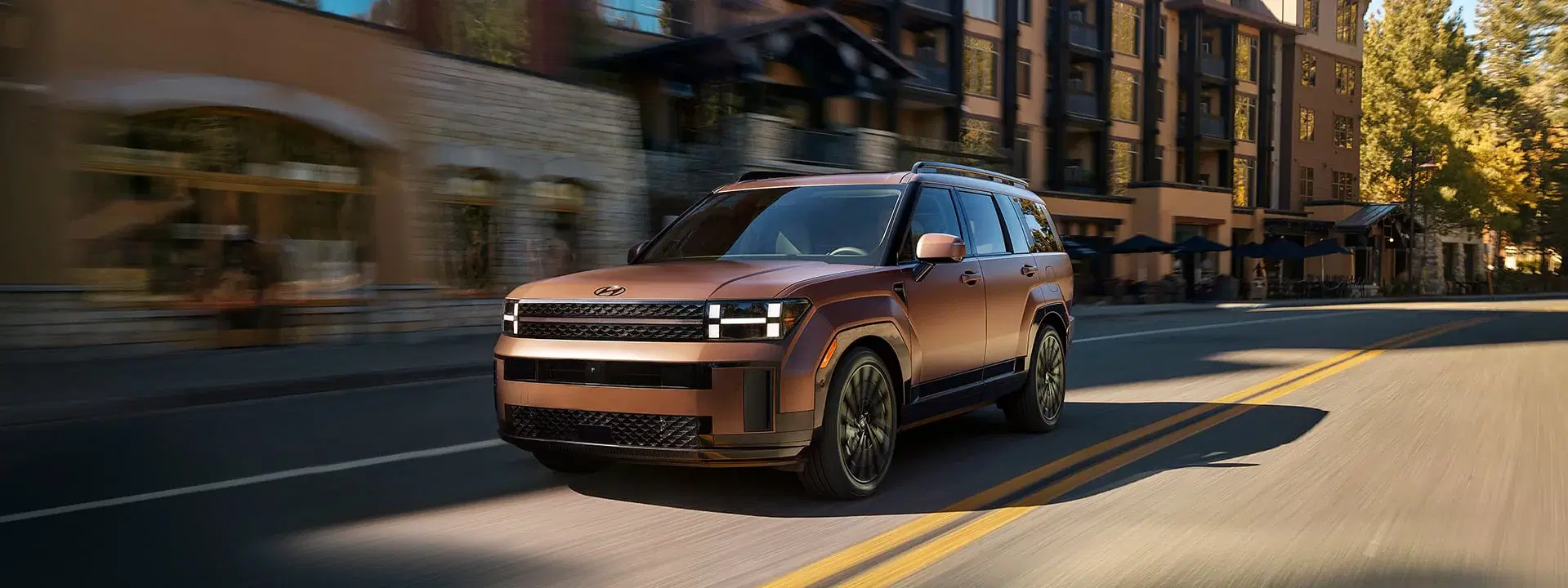 Hyundai Fe - Thumbnail 6