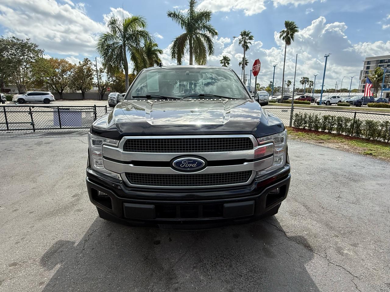 Ford F-150 2Wd Supercrew 145" Platinum - Thumbnail 10