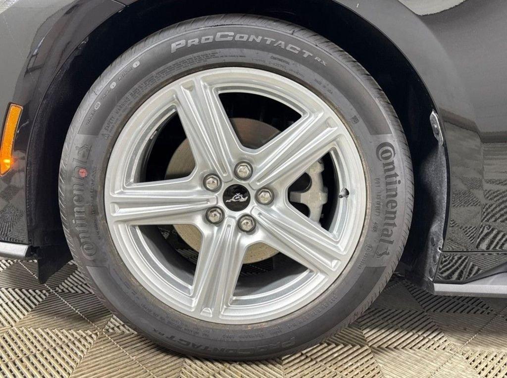 Ford Mustang Ecoboost Rwd 2D Coupe - Thumbnail 19