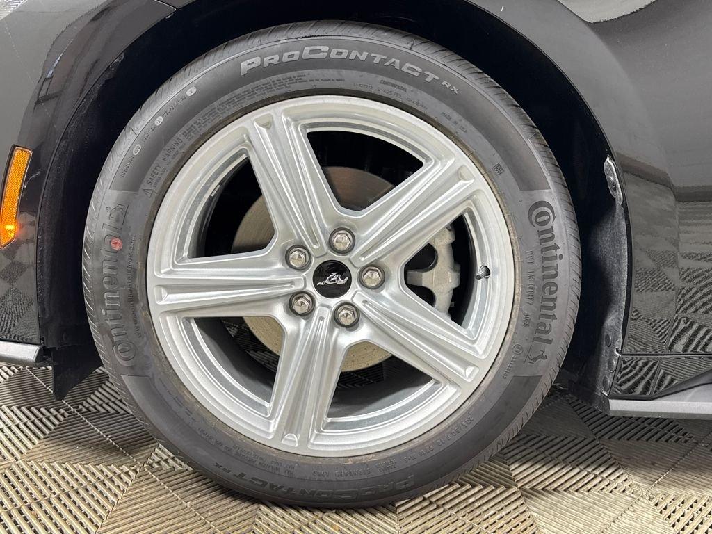 Ford Mustang Ecoboost Rwd 2D Coupe - Thumbnail 19