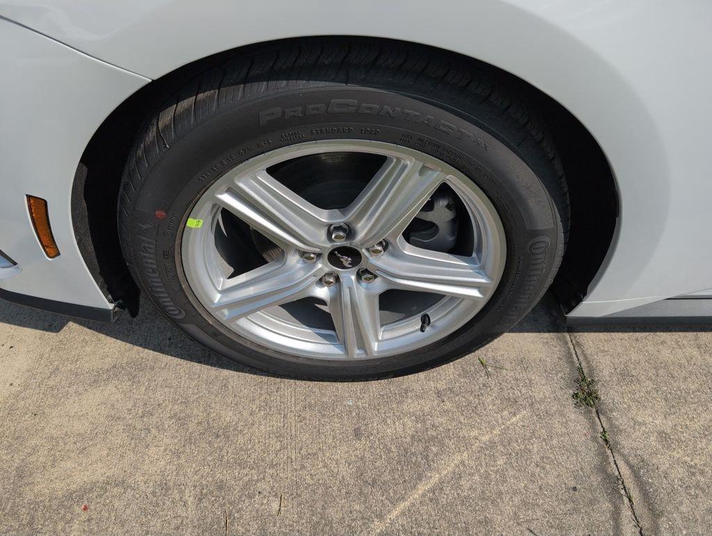 Ford Mustang Ecoboost Rwd 2D Coupe - Thumbnail 16