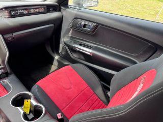 Ford Mustang - Thumbnail 3