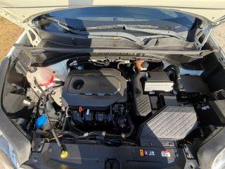 Kia Sportage - Thumbnail 6