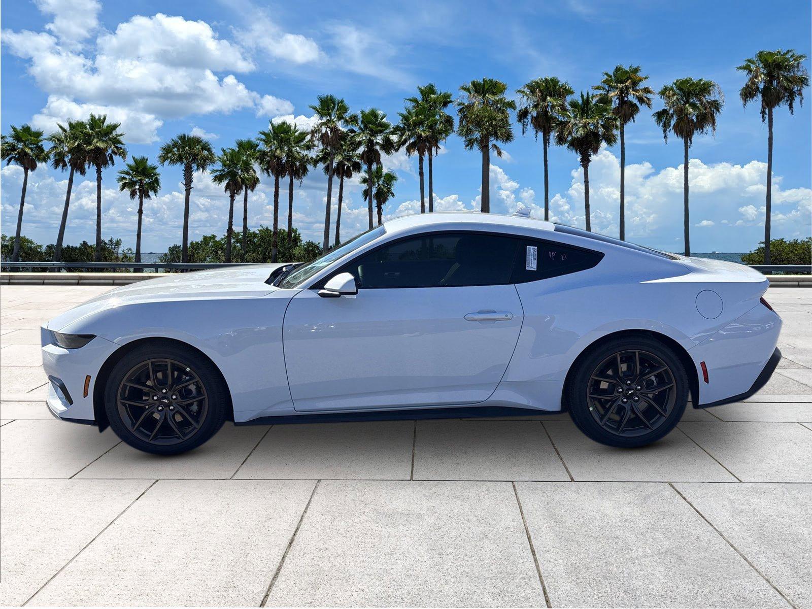 Ford Mustang Ecoboost - Thumbnail 6