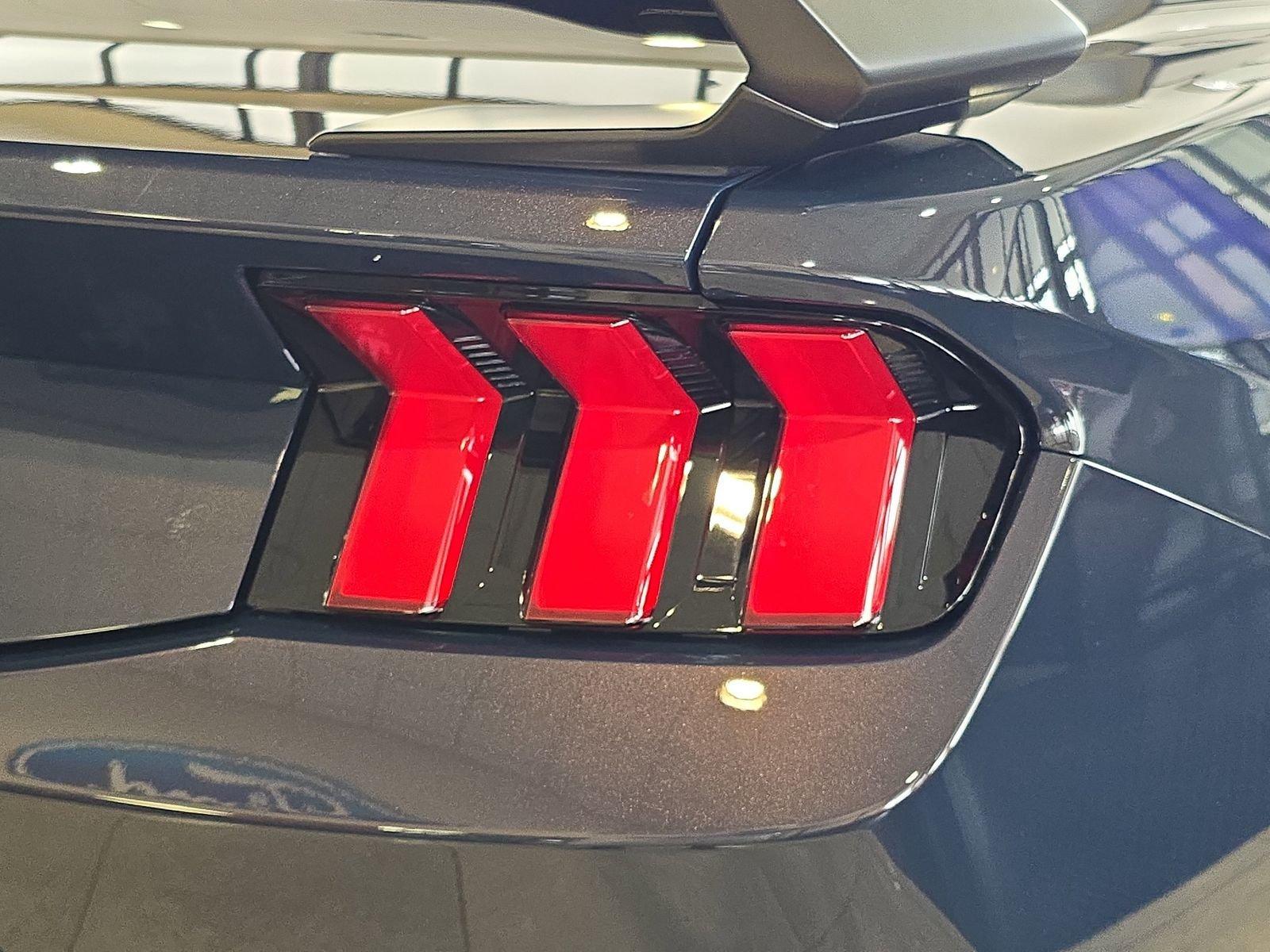 Ford Mustang Dark Horse Rwd Fastback - Thumbnail 6