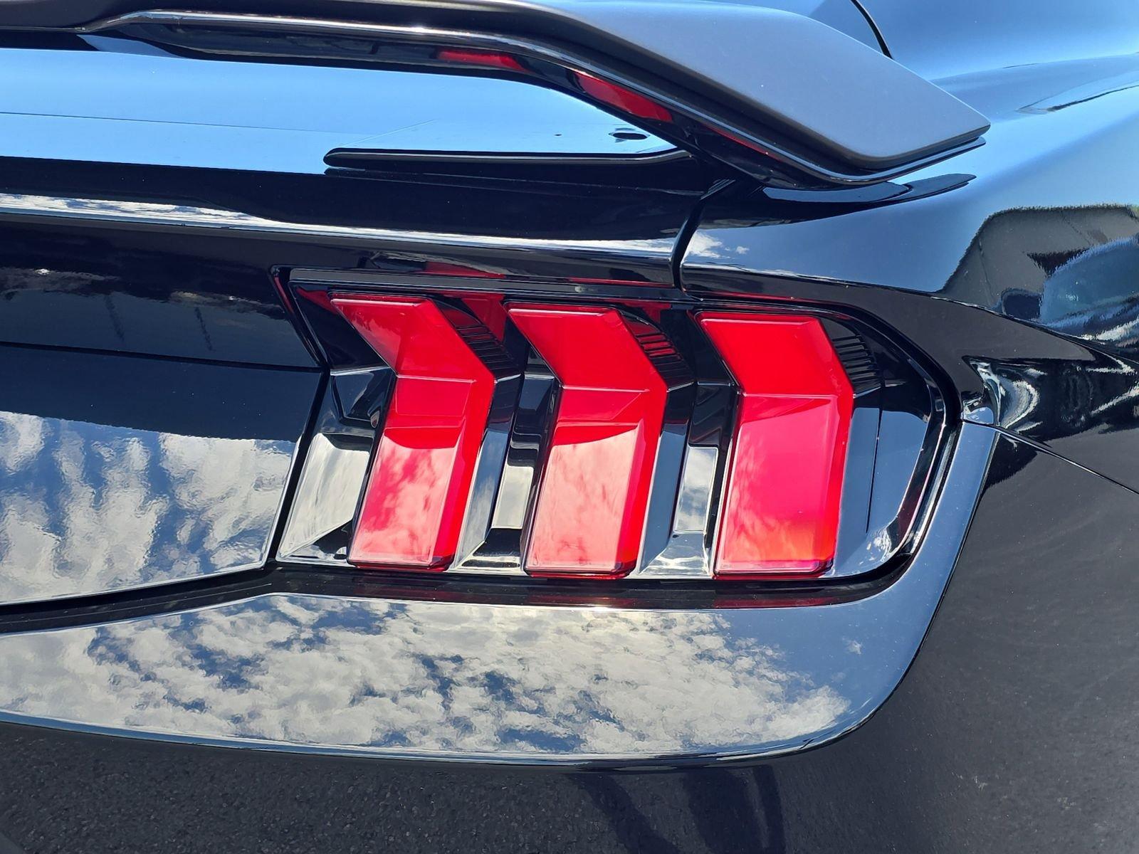 Ford Mustang Dark Horse Rwd Fastback - Thumbnail 7