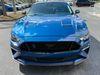 Ford Mustang Gt Premium Coyote 5.0 Gt Exhaust 3.55 Nite Pony | Plant City Florida | Bayshore Automotive - Thumbnail 14