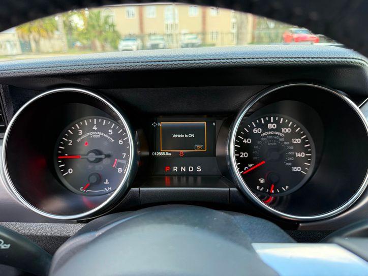 Ford Mustang Gt Premium Coyote 5.0 Gt Exhaust 3.55 Nite Pony | Plant City Florida | Bayshore Automotive - Thumbnail 2