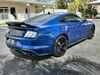 Ford Mustang Gt Premium Coyote 5.0 Gt Exhaust 3.55 Nite Pony | Plant City Florida | Bayshore Automotive - Thumbnail 8