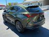 Lexus Nx 250 Nx250 Nori Green Pearl Carfax Cert 1Owner Warranty | Plant City Florida | Bayshore Automotive - Thumbnail 7