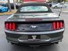 Ford Mustang Mustang Convertible Premium Ecoboost | Plant City Florida | Bayshore Automotive - Thumbnail 17