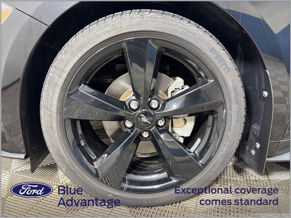 Ford Mustang Ecoboost Premium - Thumbnail 14