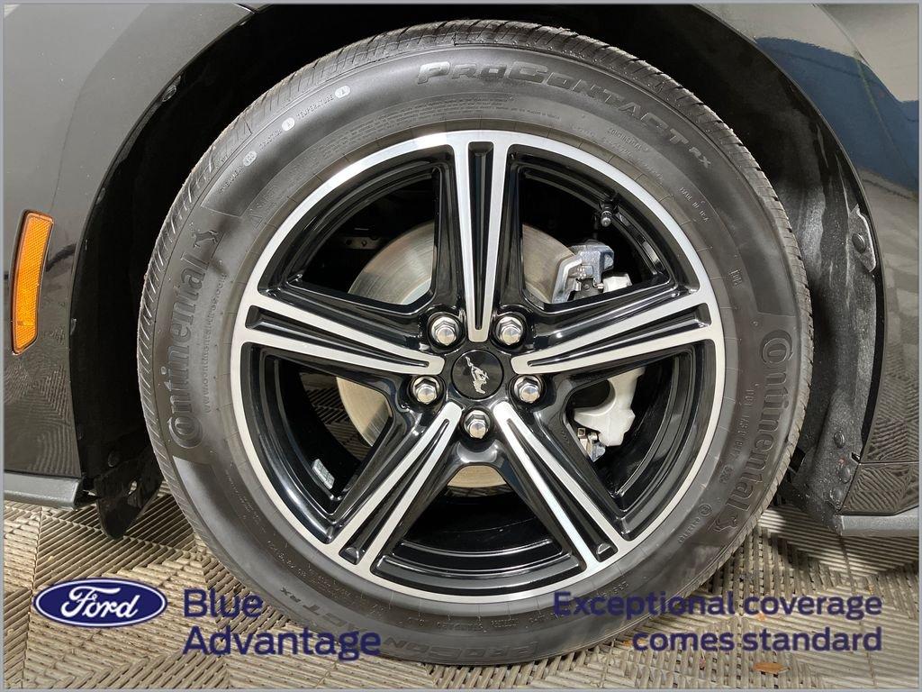 Ford Mustang Ecoboost Premium - Thumbnail 14