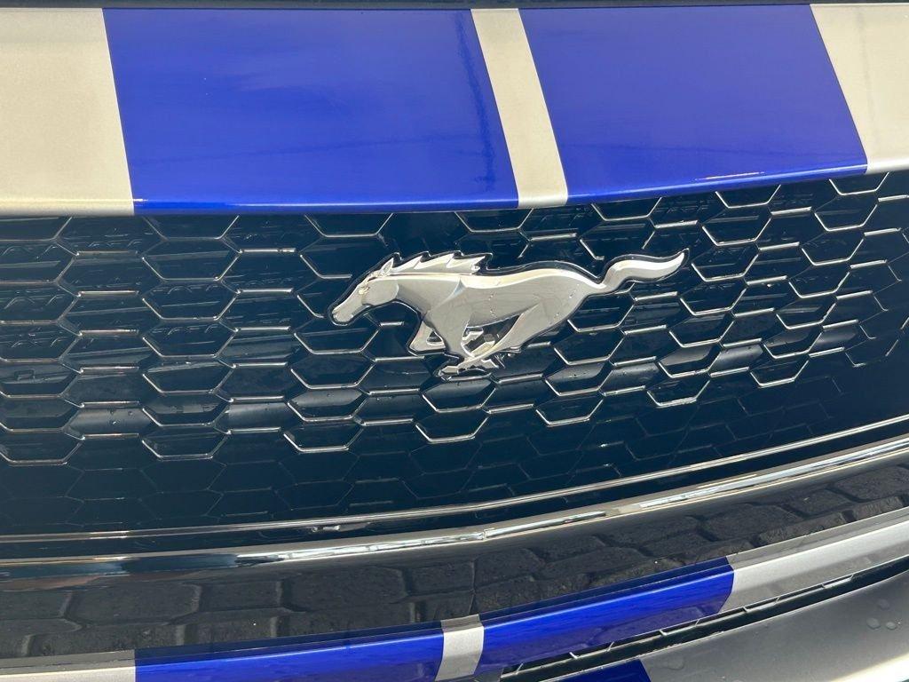 Ford Mustang Gt Premium Fastback Rwd Fastback - Thumbnail 19